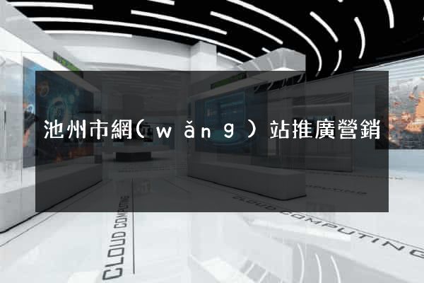 池州市網(wǎng)站推廣營銷