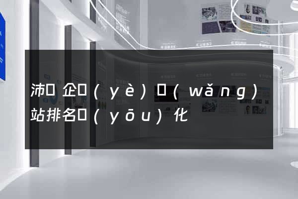 沛縣企業(yè)網(wǎng)站排名優(yōu)化