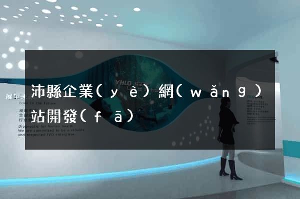 沛縣企業(yè)網(wǎng)站開發(fā)