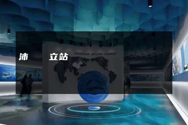 沛縣獨立站運營