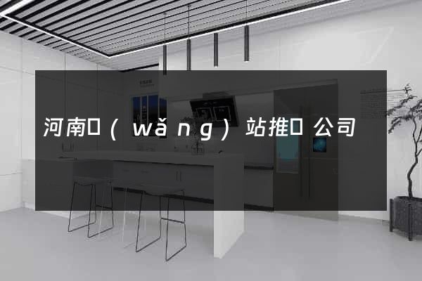 河南網(wǎng)站推廣公司