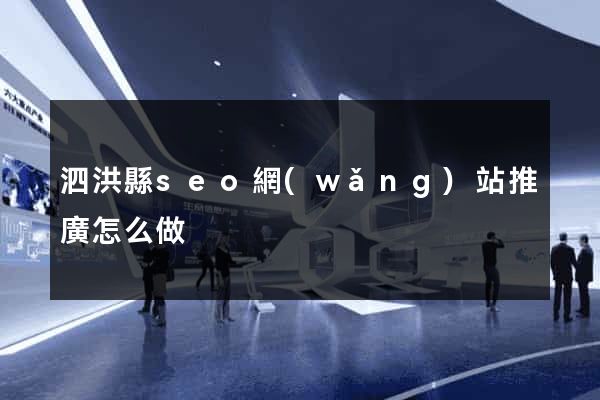 泗洪縣seo網(wǎng)站推廣怎么做