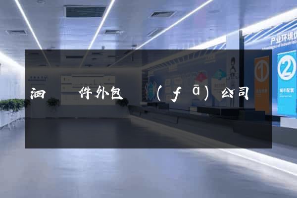 泗縣軟件外包開發(fā)公司