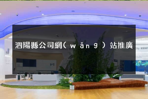 泗陽縣公司網(wǎng)站推廣