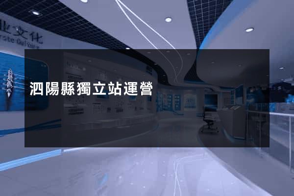 泗陽縣獨立站運營