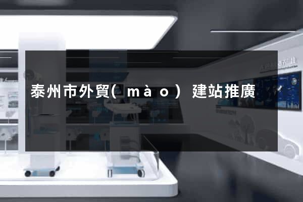 泰州市外貿(mào)建站推廣