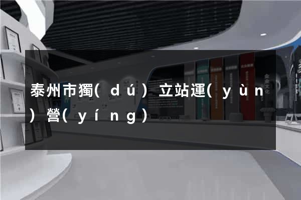 泰州市獨(dú)立站運(yùn)營(yíng)