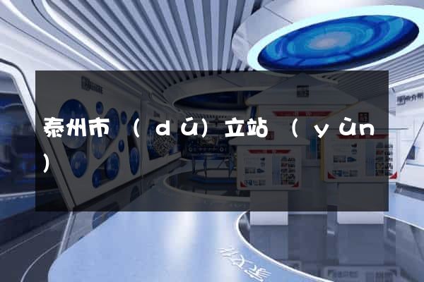 泰州市獨(dú)立站運(yùn)營