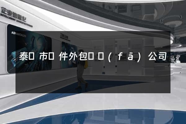 泰興市軟件外包開發(fā)公司