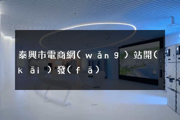 泰興市電商網(wǎng)站開(kāi)發(fā)