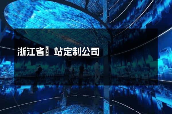 浙江省網站定制公司