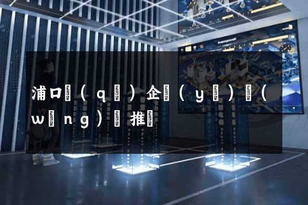 浦口區(qū)企業(yè)網(wǎng)絡推廣