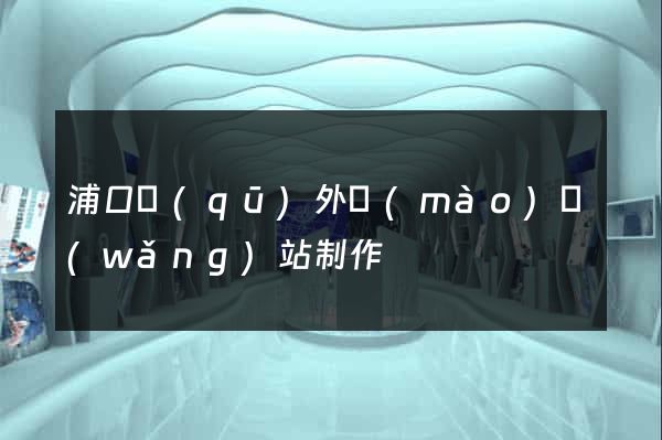 浦口區(qū)外貿(mào)網(wǎng)站制作