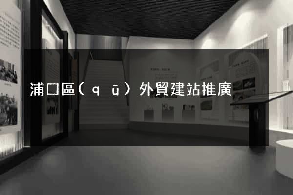 浦口區(qū)外貿建站推廣