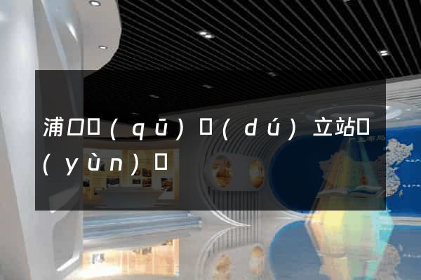 浦口區(qū)獨(dú)立站運(yùn)營