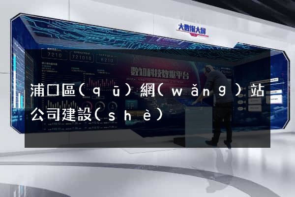 浦口區(qū)網(wǎng)站公司建設(shè)