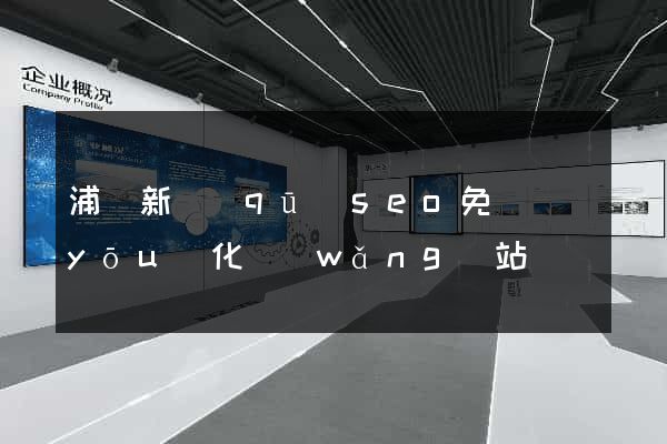 浦東新區(qū)seo免費優(yōu)化網(wǎng)站