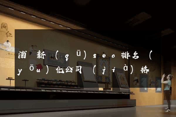 浦東新區(qū)seo排名優(yōu)化公司價(jià)格