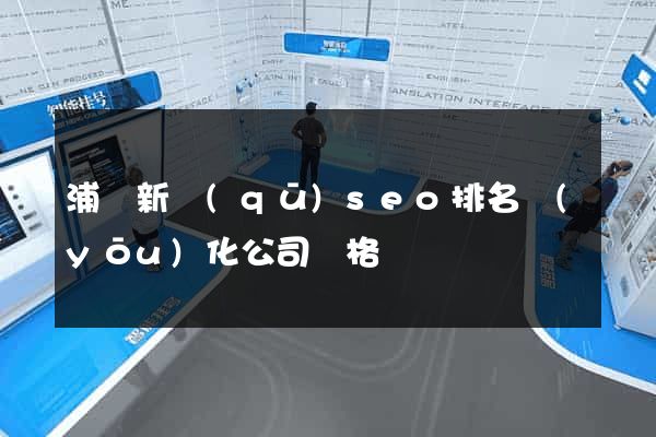 浦東新區(qū)seo排名優(yōu)化公司價格
