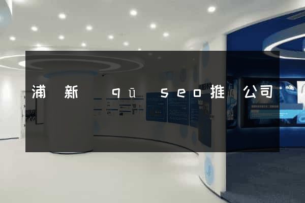 浦東新區(qū)seo推廣公司