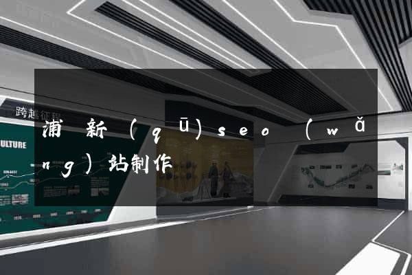 浦東新區(qū)seo網(wǎng)站制作