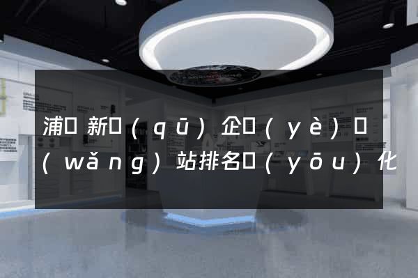 浦東新區(qū)企業(yè)網(wǎng)站排名優(yōu)化