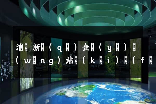 浦東新區(qū)企業(yè)網(wǎng)站開(kāi)發(fā)