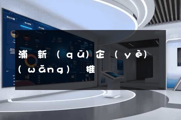 浦東新區(qū)企業(yè)網(wǎng)絡推廣