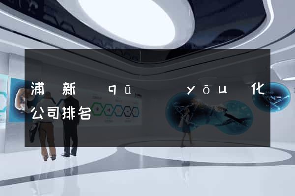 浦東新區(qū)優(yōu)化公司排名