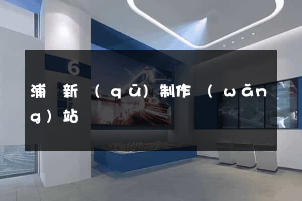 浦東新區(qū)制作網(wǎng)站