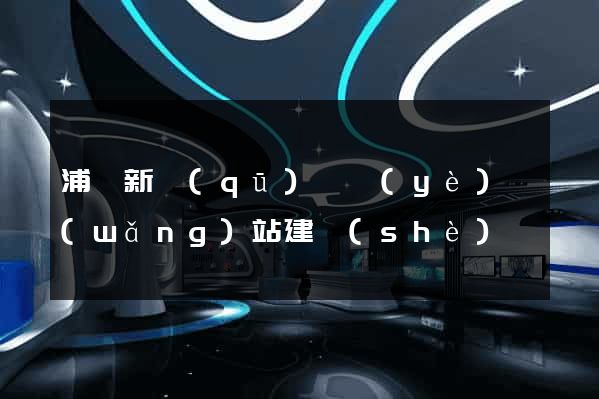 浦東新區(qū)專業(yè)網(wǎng)站建設(shè)