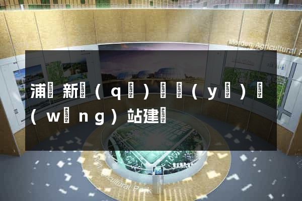 浦東新區(qū)專業(yè)網(wǎng)站建設