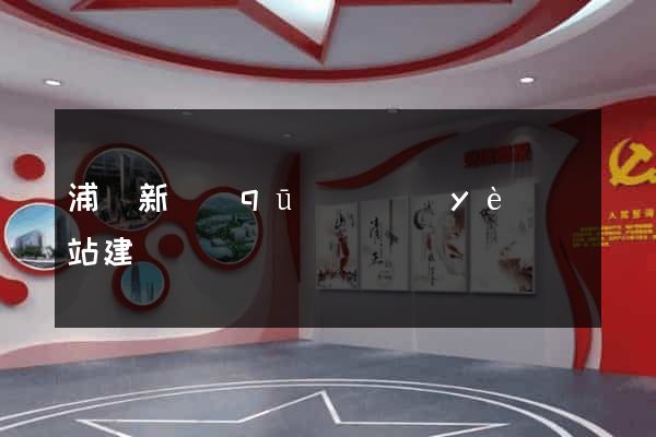 浦東新區(qū)專業(yè)網站建設