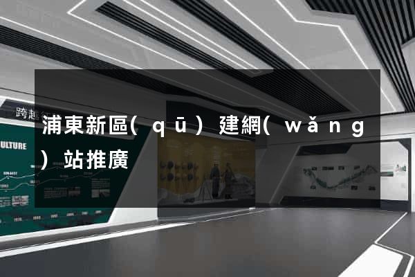 浦東新區(qū)建網(wǎng)站推廣