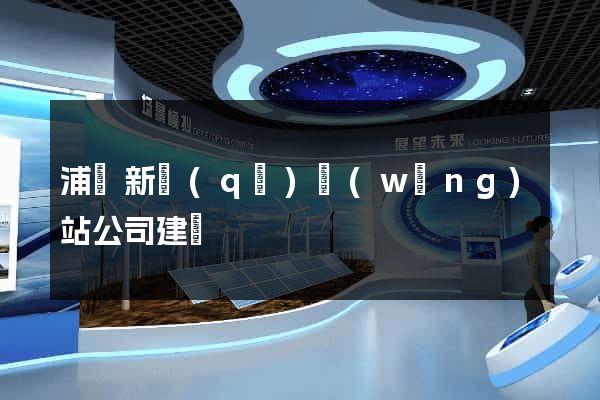 浦東新區(qū)網(wǎng)站公司建設