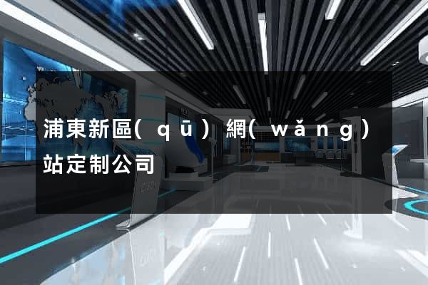 浦東新區(qū)網(wǎng)站定制公司
