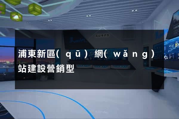 浦東新區(qū)網(wǎng)站建設營銷型