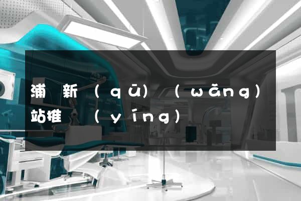 浦東新區(qū)網(wǎng)站推廣營(yíng)銷