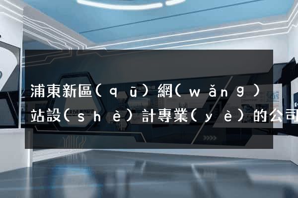 浦東新區(qū)網(wǎng)站設(shè)計專業(yè)的公司