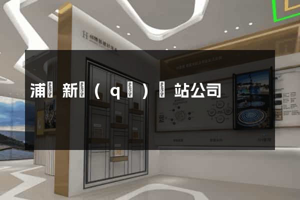 浦東新區(qū)網站公司