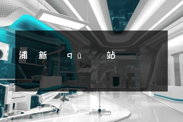 浦東新區(qū)網站營銷