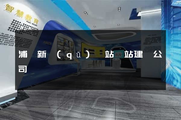 浦東新區(qū)網站網站建設公司