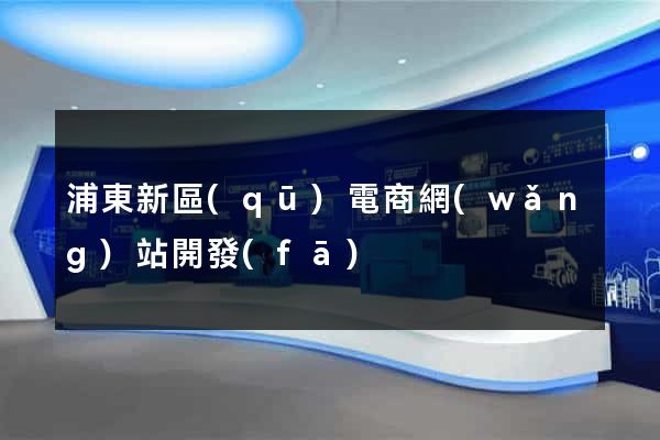 浦東新區(qū)電商網(wǎng)站開發(fā)