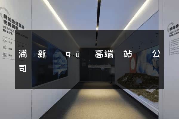浦東新區(qū)高端網站設計公司