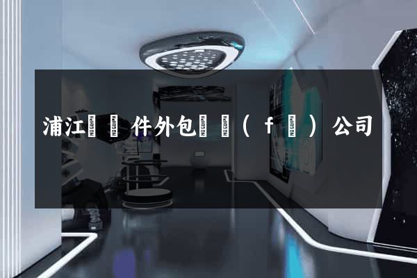 浦江縣軟件外包開發(fā)公司