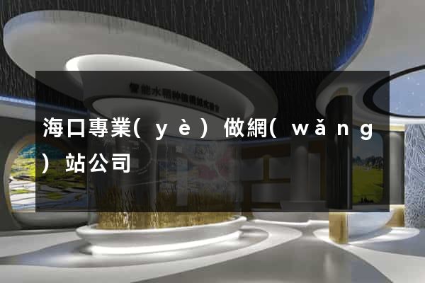海口專業(yè)做網(wǎng)站公司