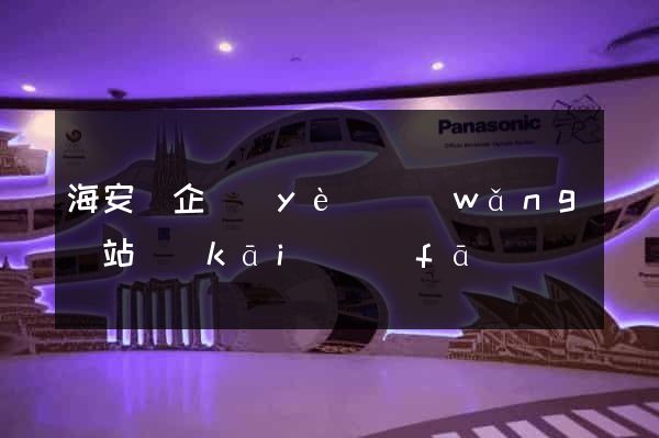 海安縣企業(yè)網(wǎng)站開(kāi)發(fā)
