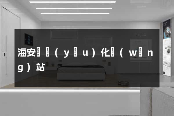 海安縣優(yōu)化網(wǎng)站