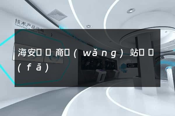 海安縣電商網(wǎng)站開發(fā)