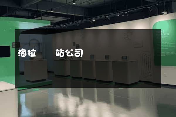 海拉爾網站公司